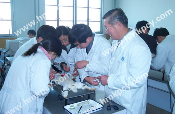 杨鸣泽和中国中医科学院专家一起参加动物实验.jpg